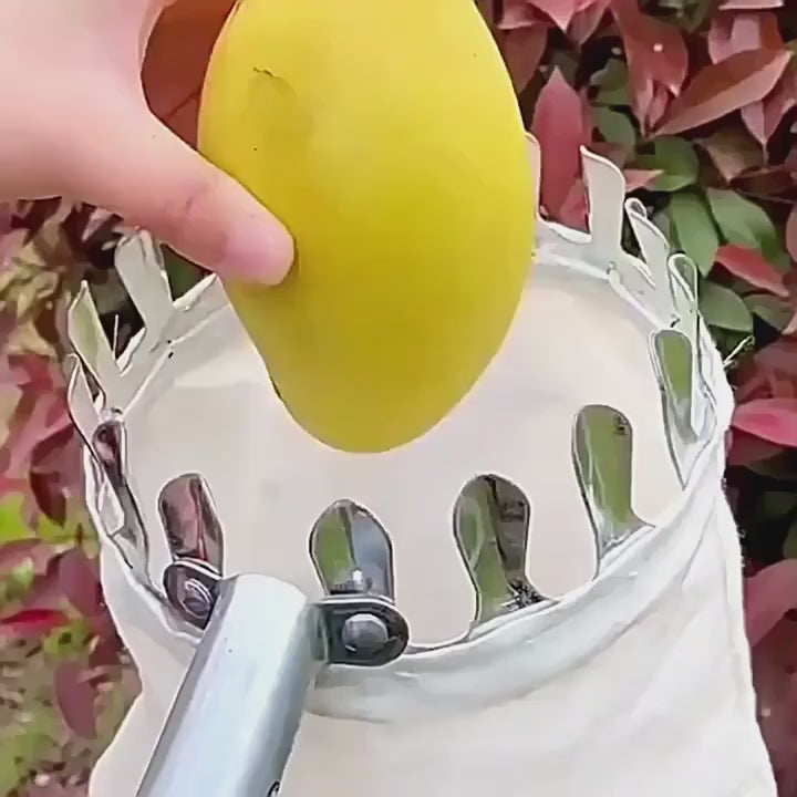 1 Set Fruit Picker Fruit Picking Tool With Storage Bag